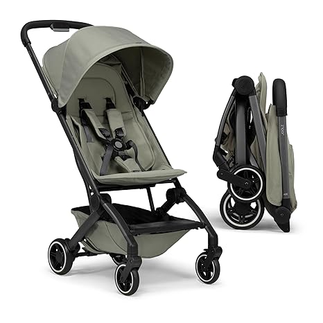 Stroller Chassis And Seat C5129