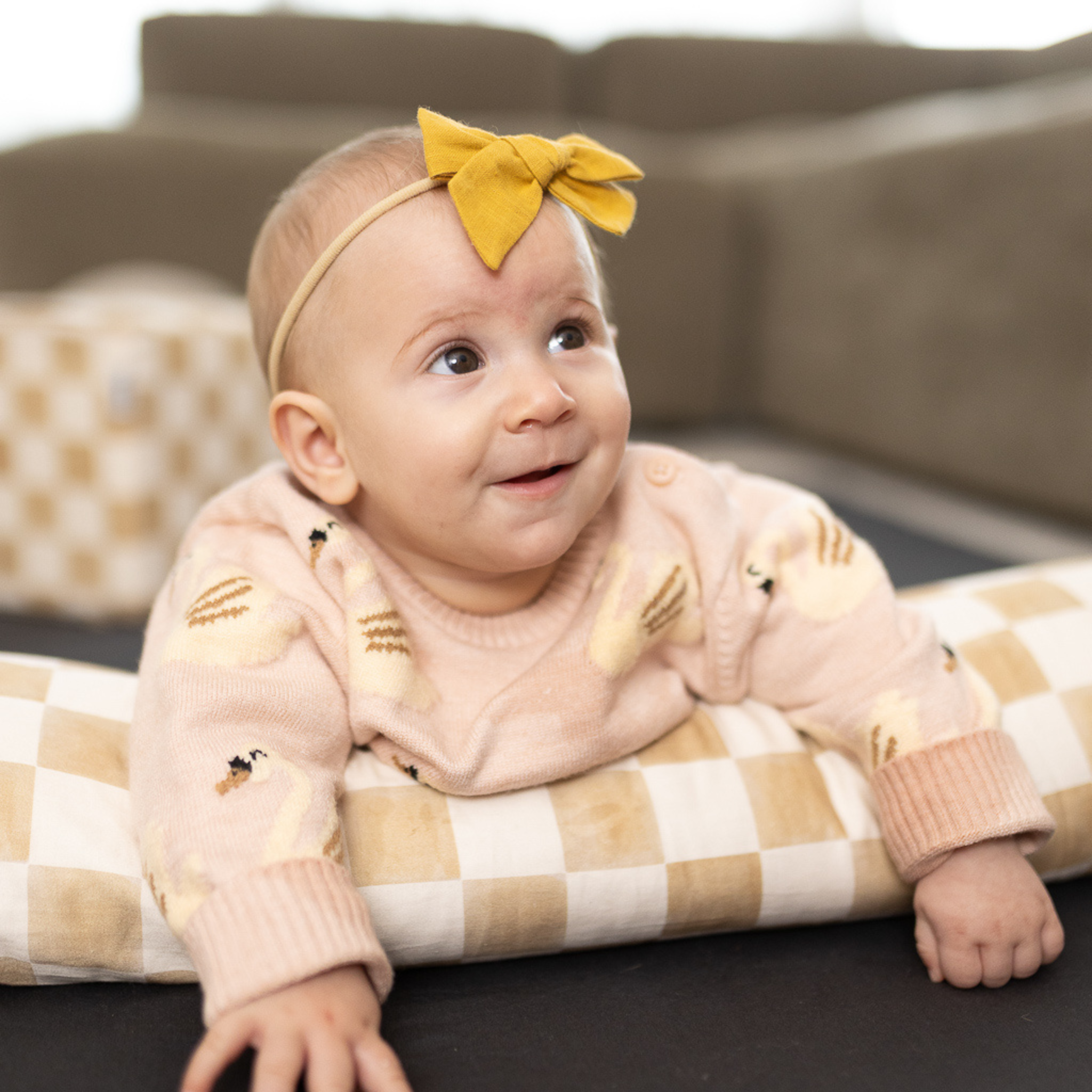 Checker Toffee Support Pillow A727118