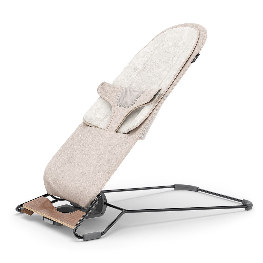 2-in-1 Bouncer H63762