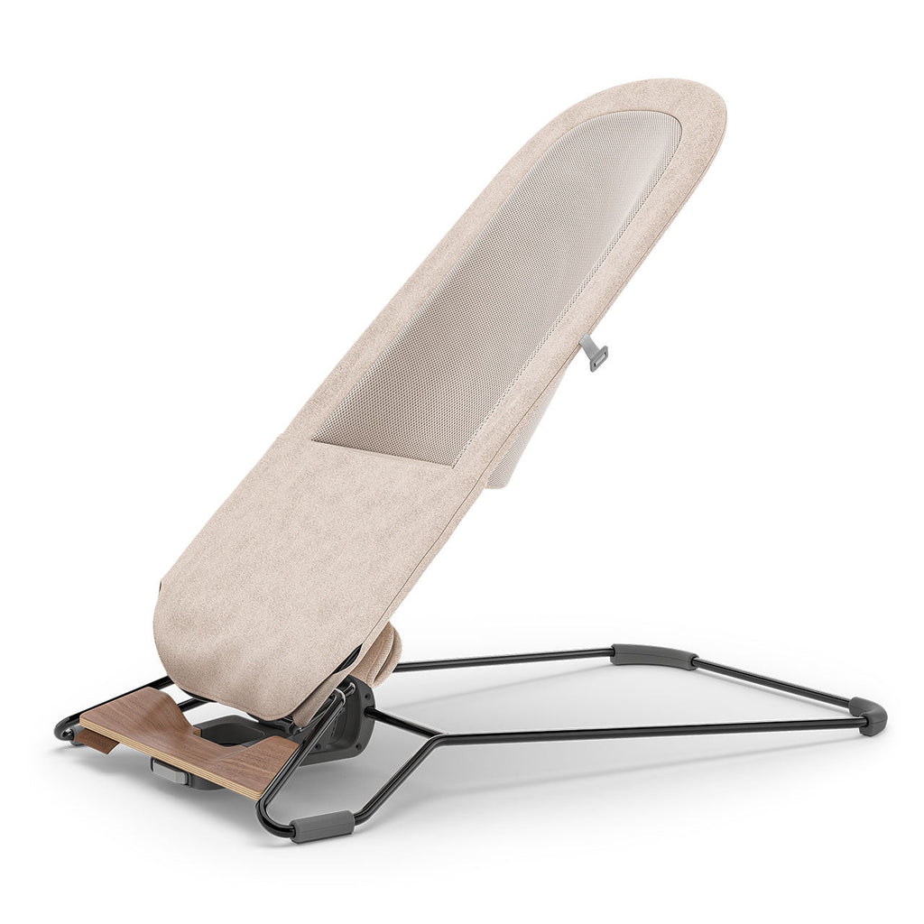 2-in-1 Bouncer H63762