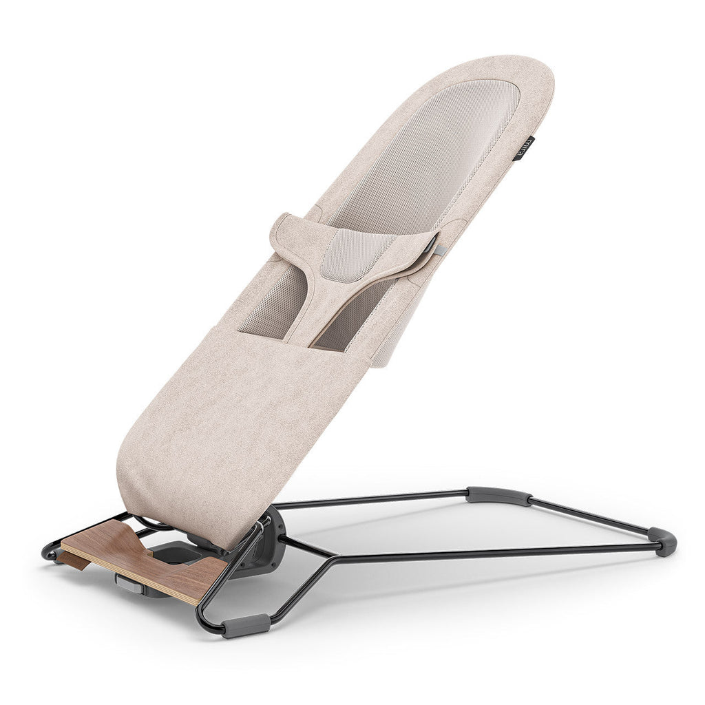 2-in-1 Bouncer H63762
