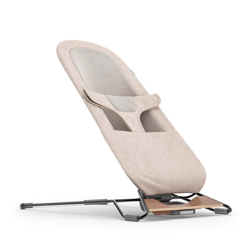 2-in-1 Bouncer H63762