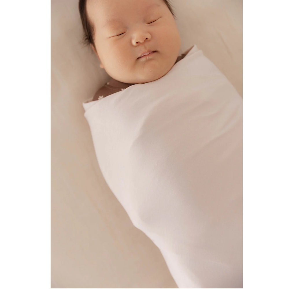 Swaddle in Dove Blue Gray D534