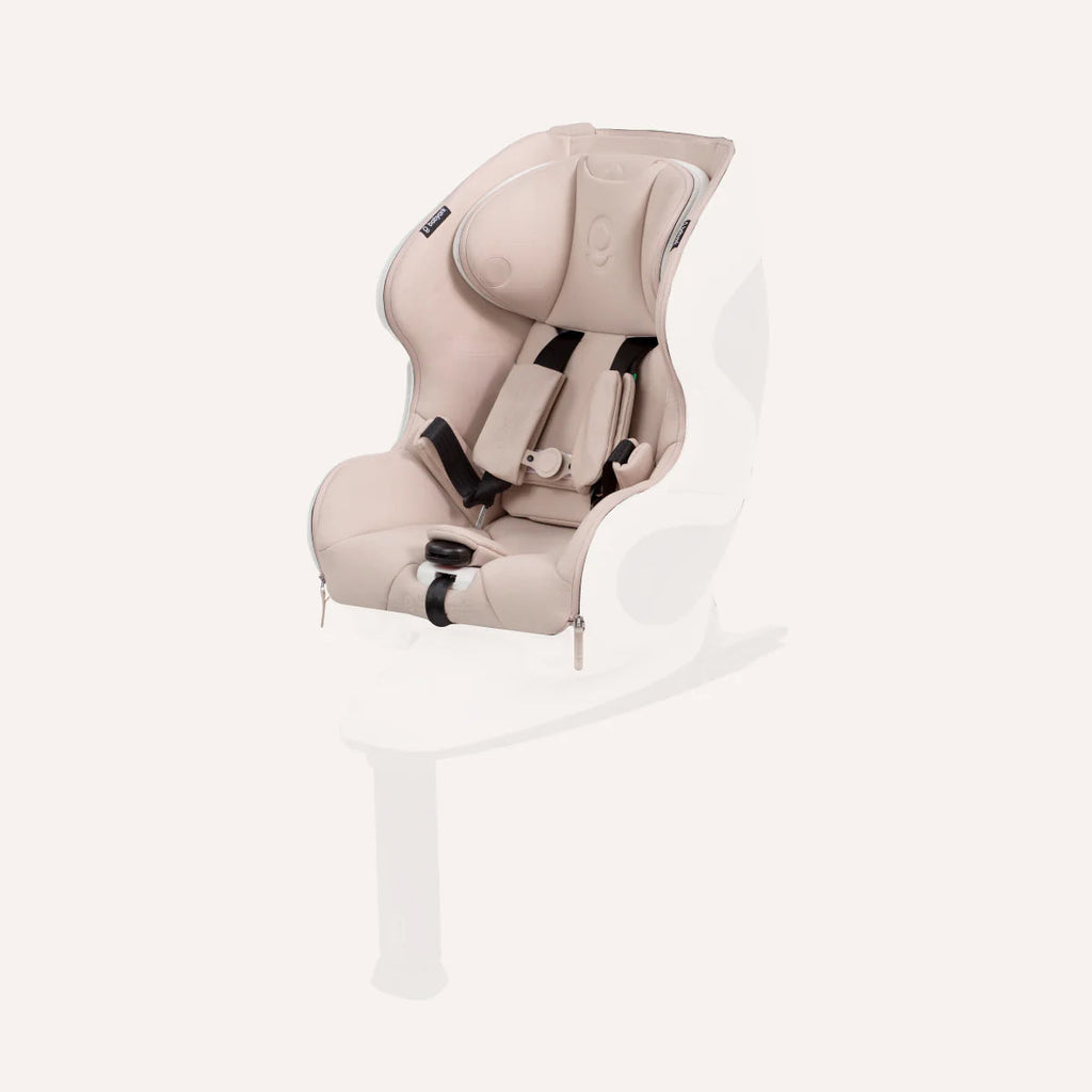 Upholstery Set P731