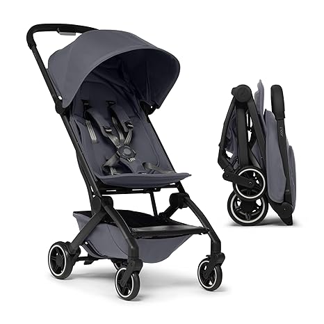 Stroller Chassis And Seat C5129