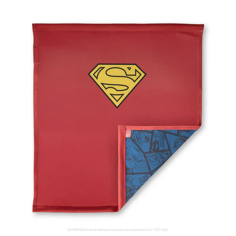 Superman Accessory Kit A6809