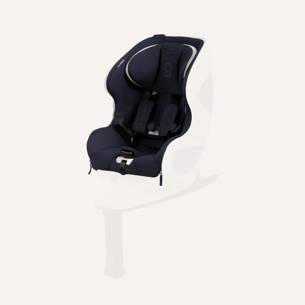Upholstery Set P731