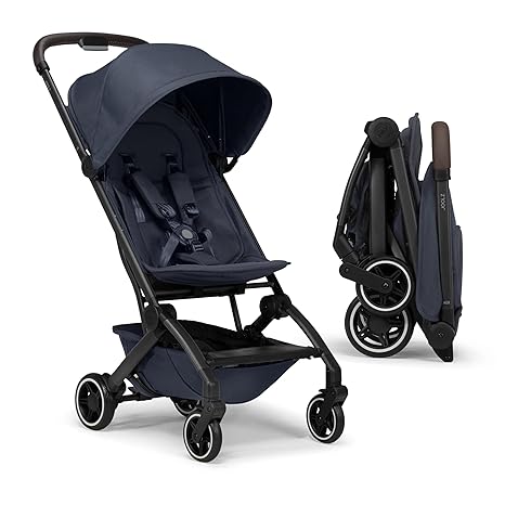 Stroller Chassis And Seat C5129