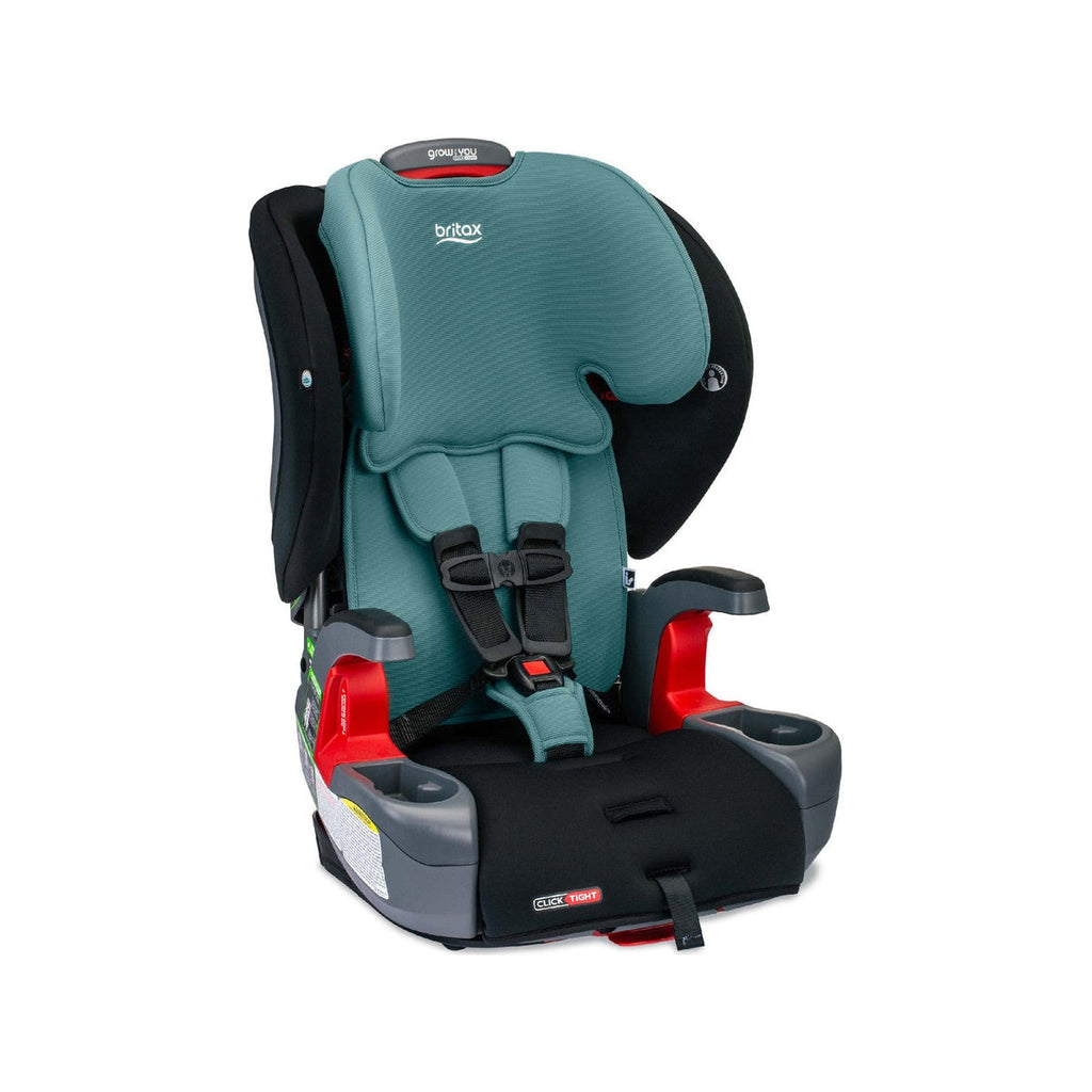 2-in-1 Harness to Booster Car Seat A434