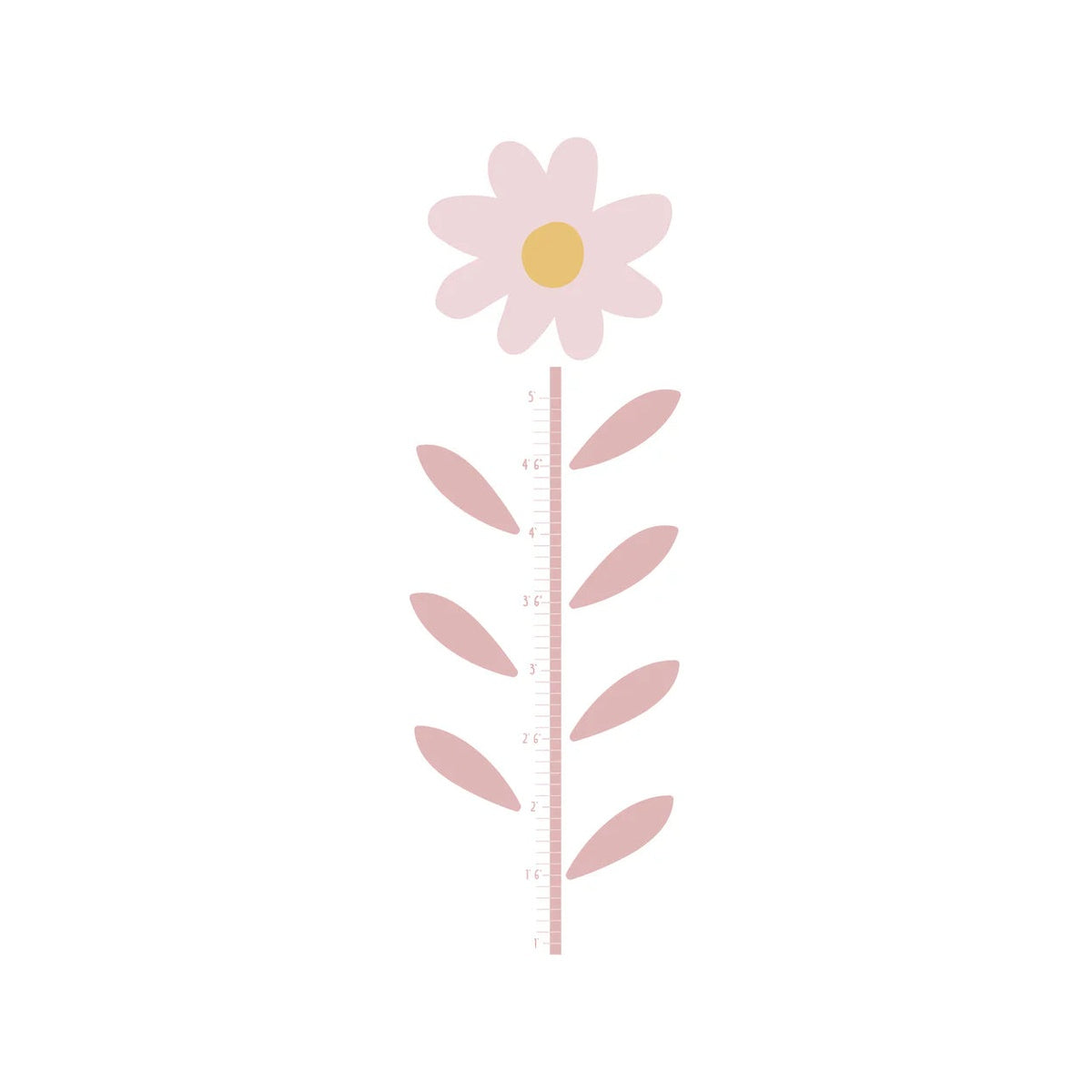 Daisy Flower Growth Chart Wall Decals R901