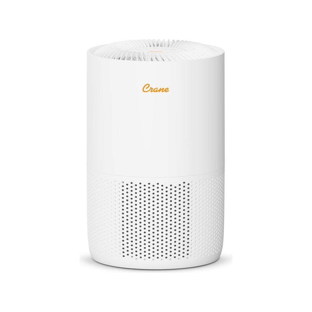 HEPA Air Purifier for Home, Up to 300 Sq Ft - White A301