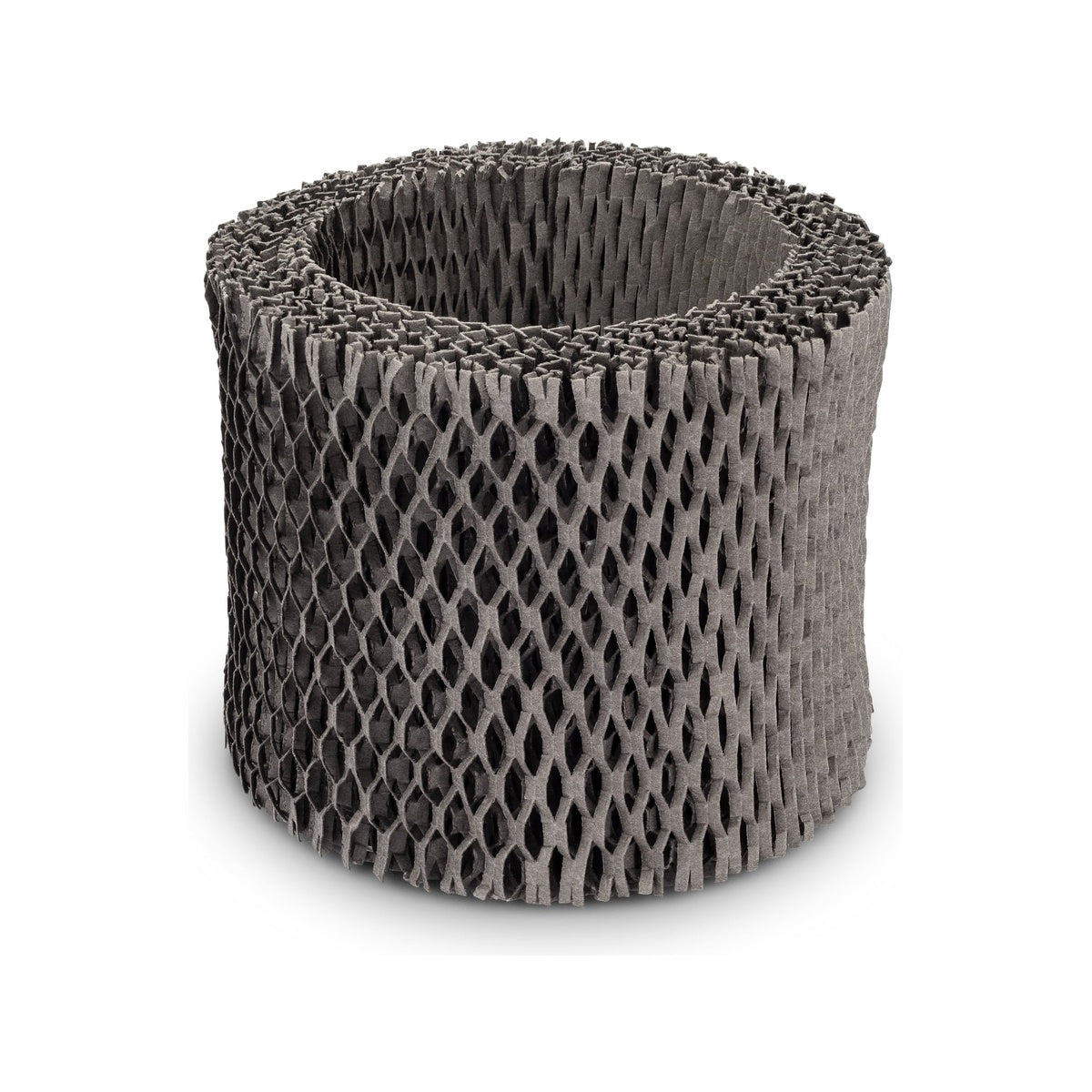 Humidifier Replacement Filter Z715329