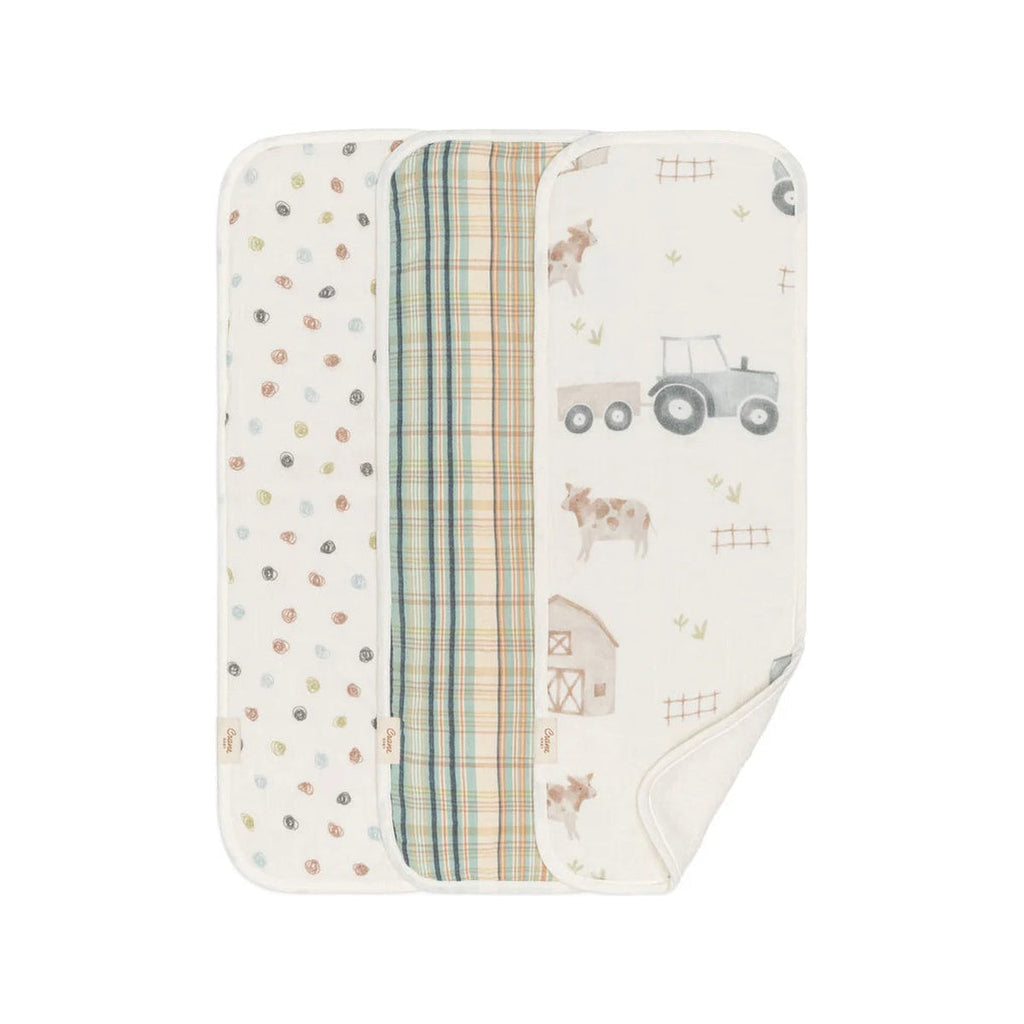 Newborn Burp Cloth Set, 3-Piece G72713