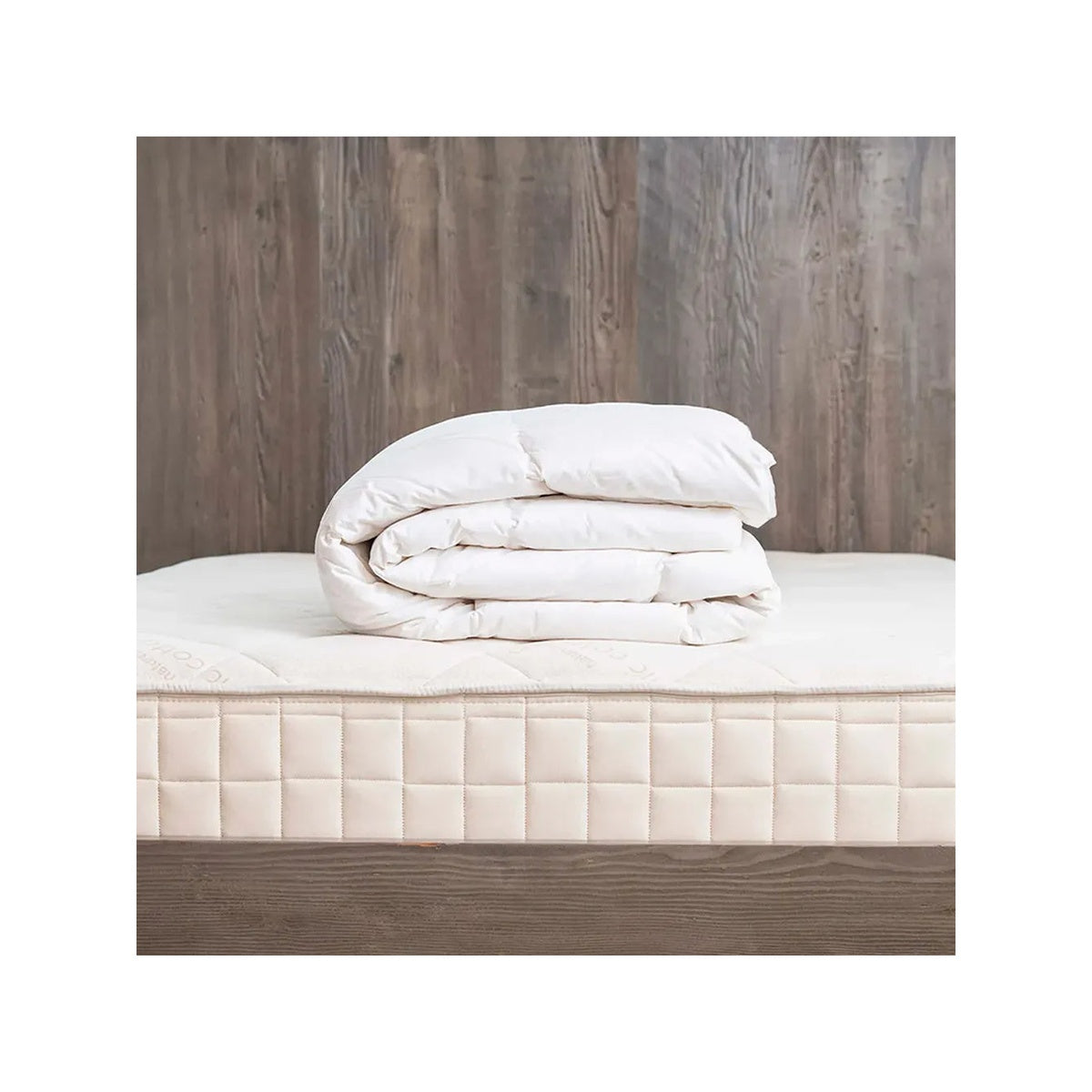 Organic Cotton Kids Down Comforter D679467
