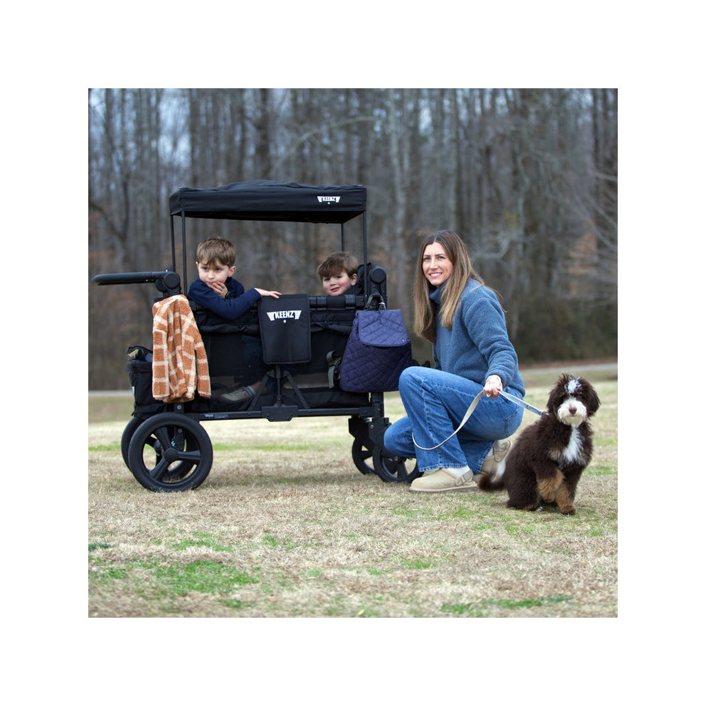 4-Passenger Stroller Wagon with Full-Featured Comfort E466