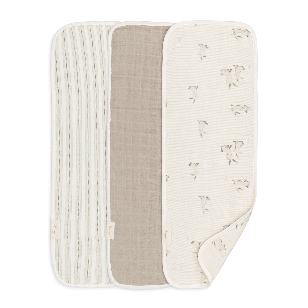 Organic Cotton Newborn Burp Cloth Set - Bunny T932318