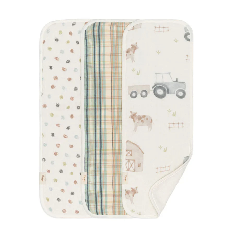 Newborn Burp Cloth Set, 3-Piece G72713