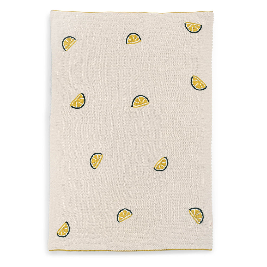 Embroidered Knit Baby Blanket L153