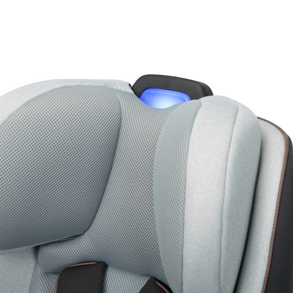 Convertible Car Seat All-in-One L295058