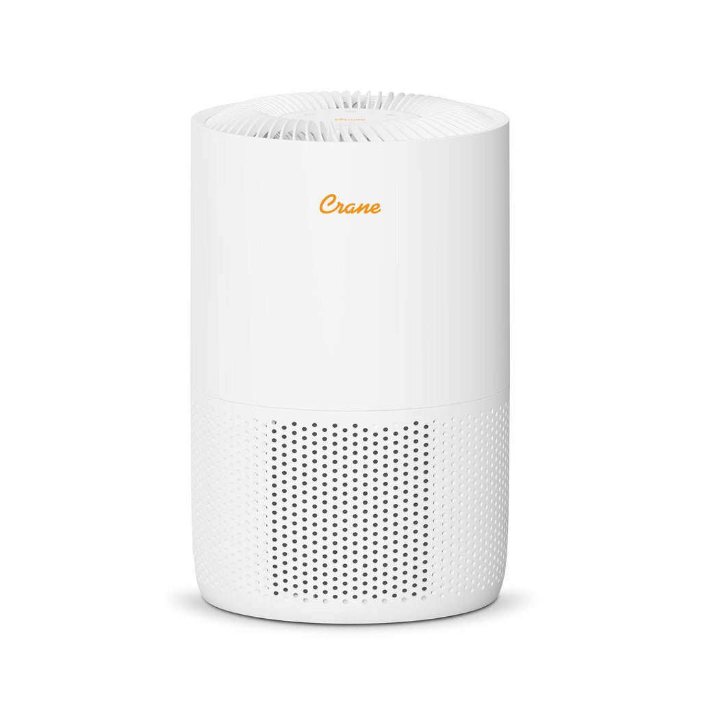 HEPA Air Purifier for Home, Up to 300 Sq Ft - White A301