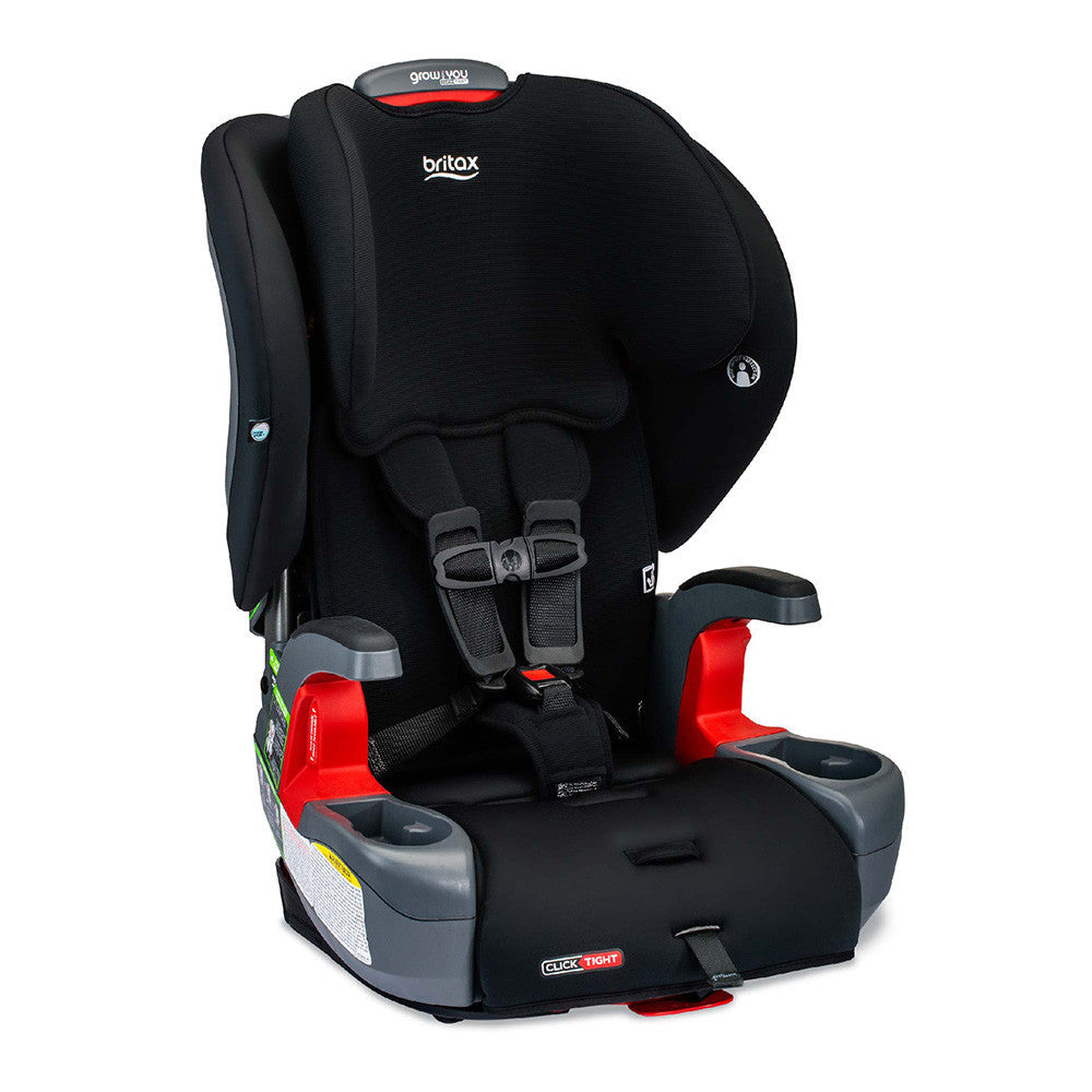 2-in-1 Harness to Booster Car Seat A434