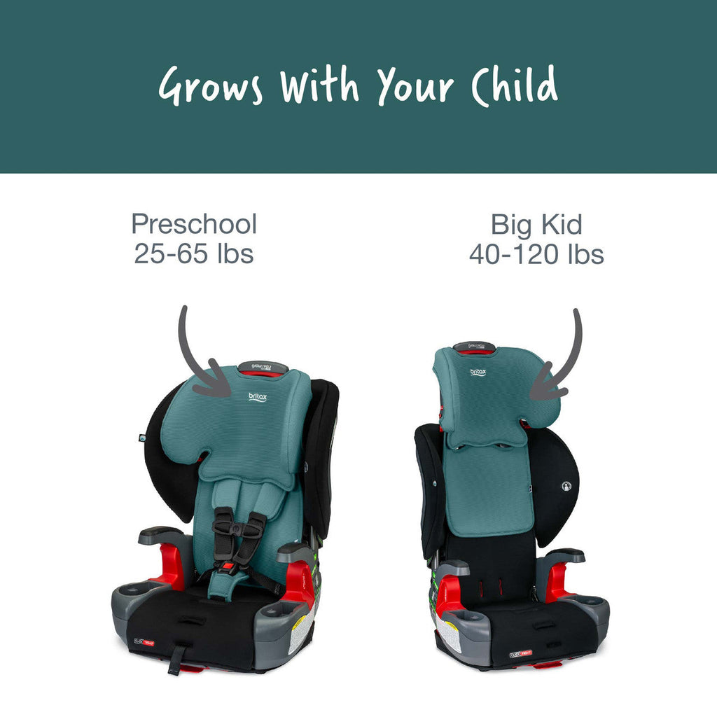 2-in-1 Harness to Booster Car Seat A434