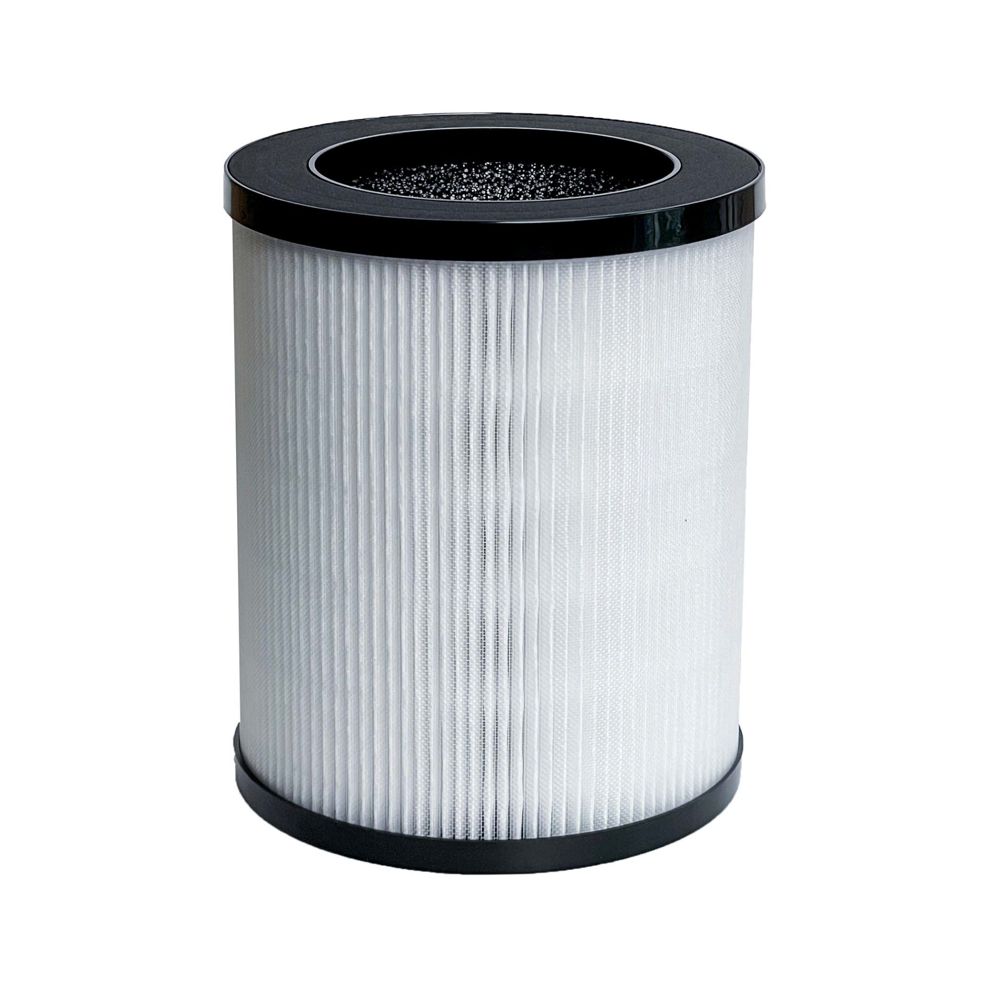 HEPA Replacement Filter for Air Purifier G30256