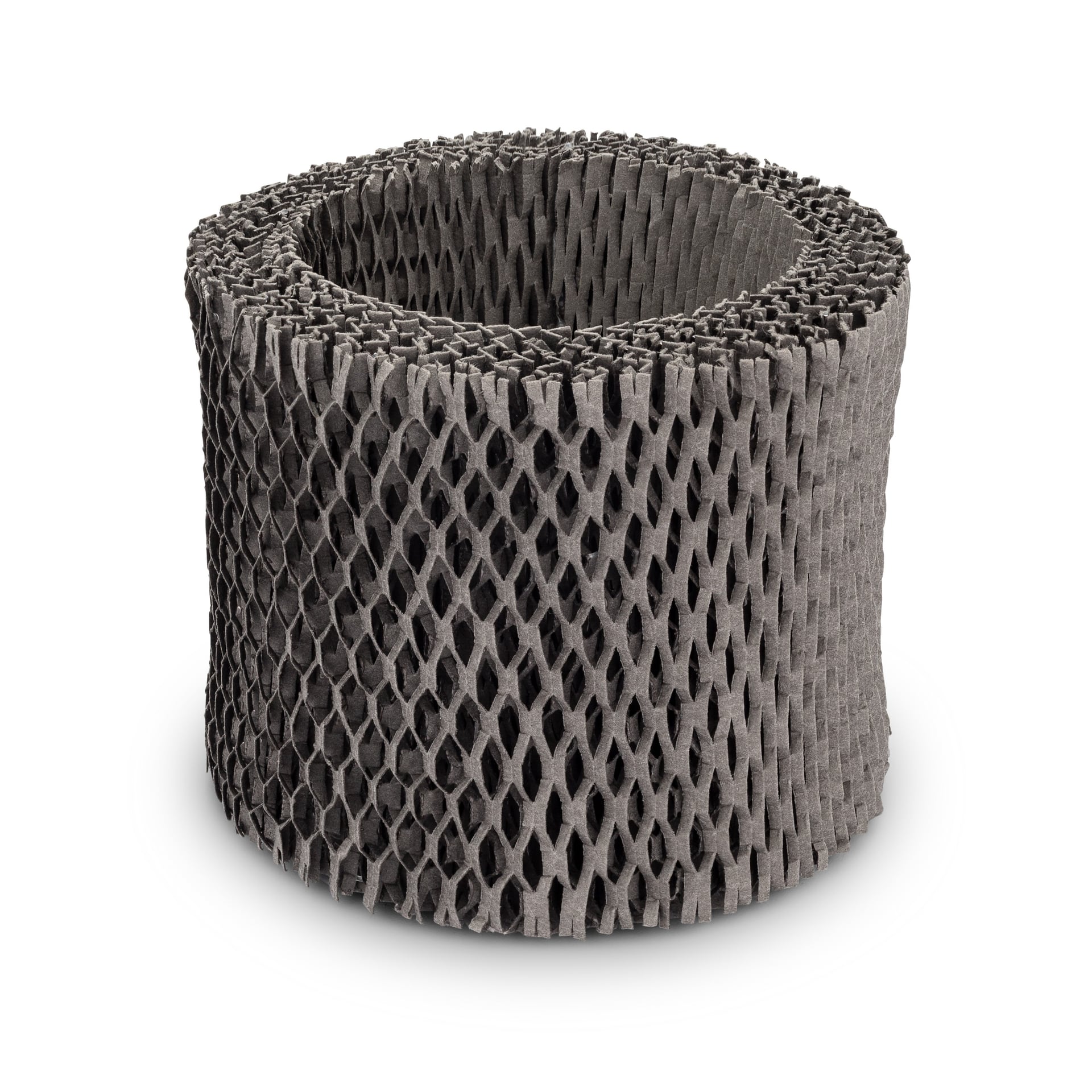 Humidifier Replacement Filter Z715329