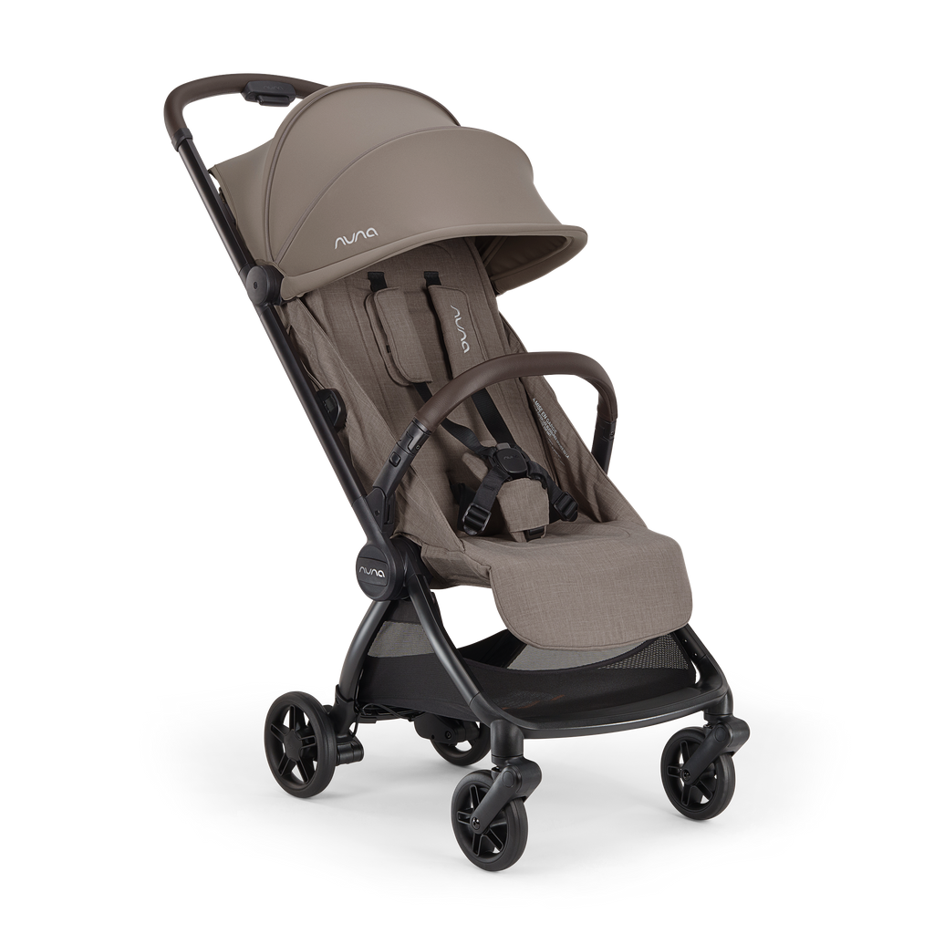 Travel Stroller P278057