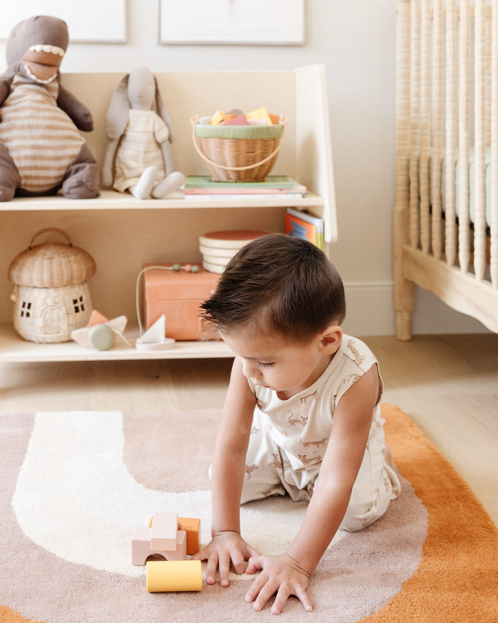 Montessori Toy Shelf C8992