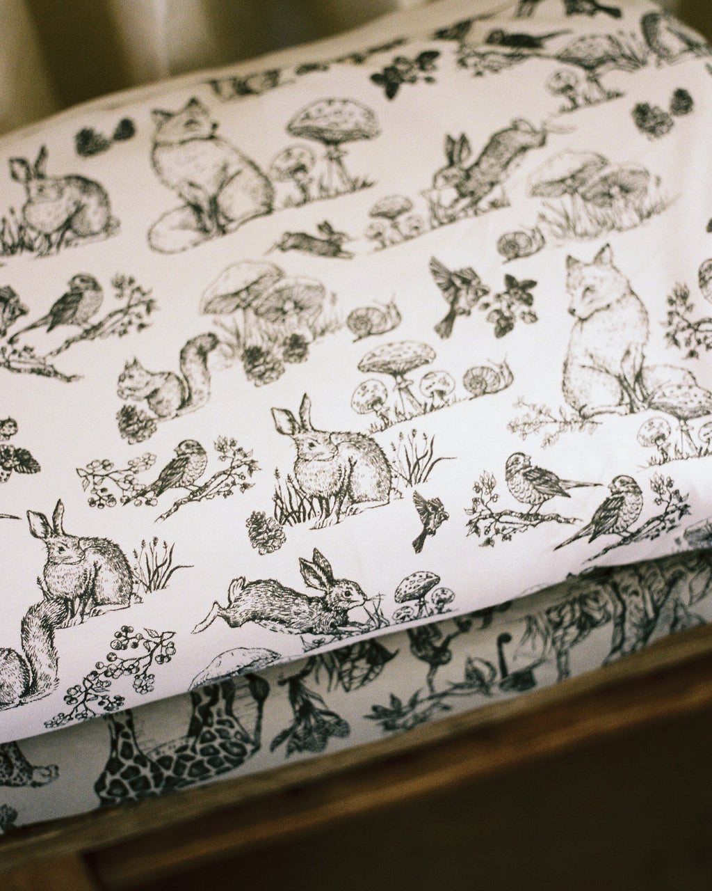 Plush Infant Blanket R1636