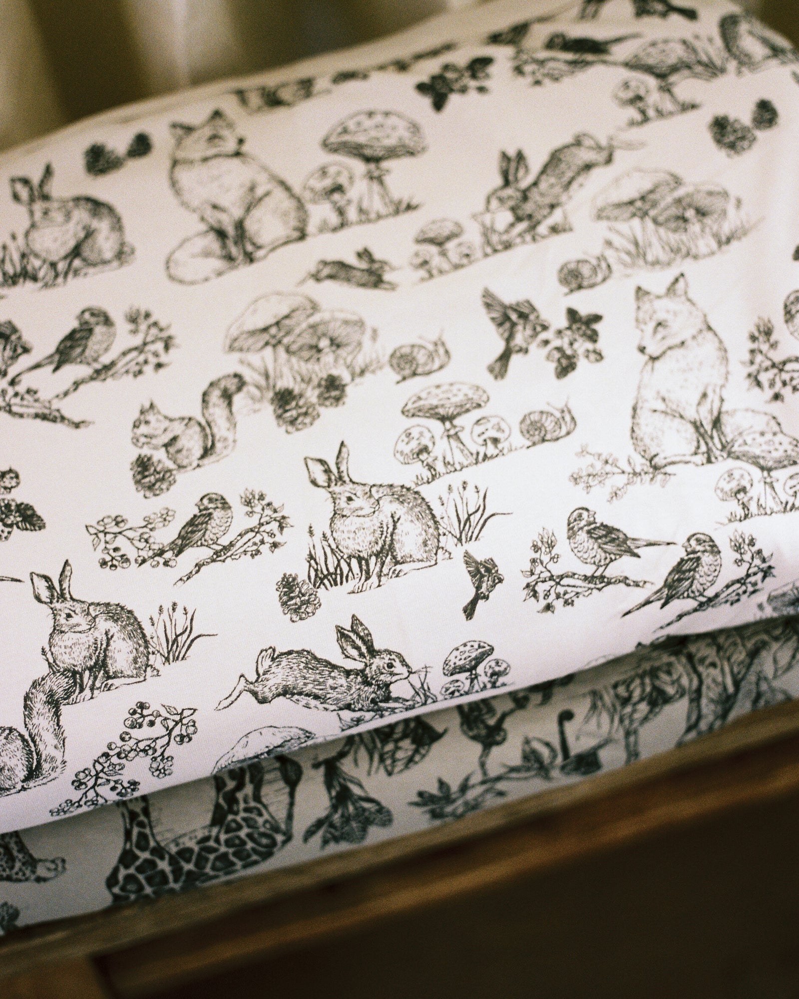 Plush Infant Blanket R1636