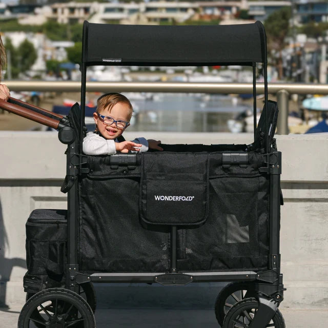Double Seater Stroller Wagon A10873