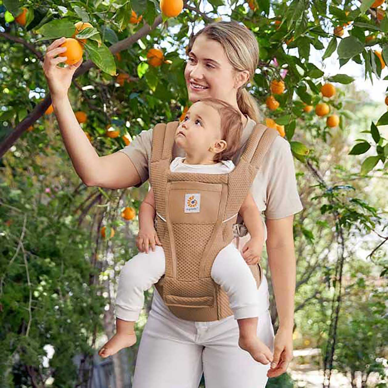 Alta Hip Seat Baby Carrier S977