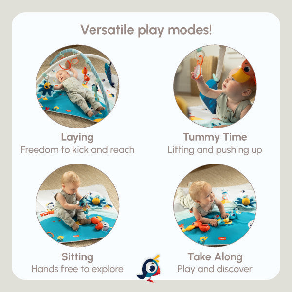 Developmental Baby Gym Play Mat B11722