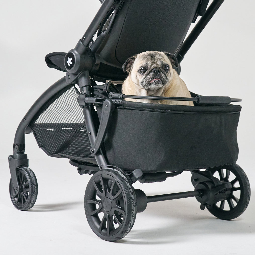 Pet Basket - Black G8010
