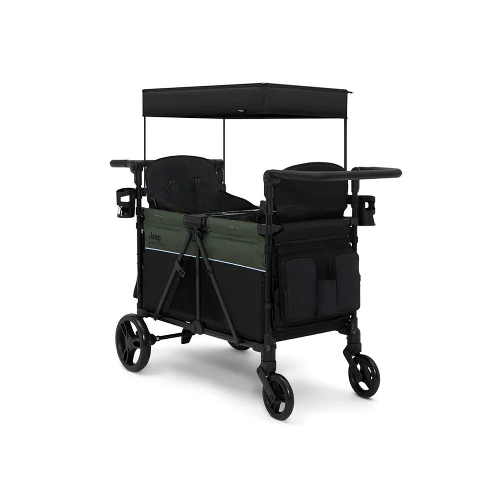 Stroller Wagon C503