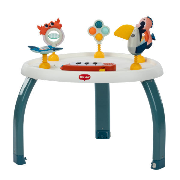 5-in-1 Stationary Activity Center T67493