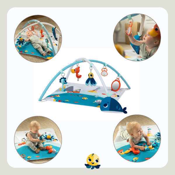 Developmental Baby Gym Play Mat B11722
