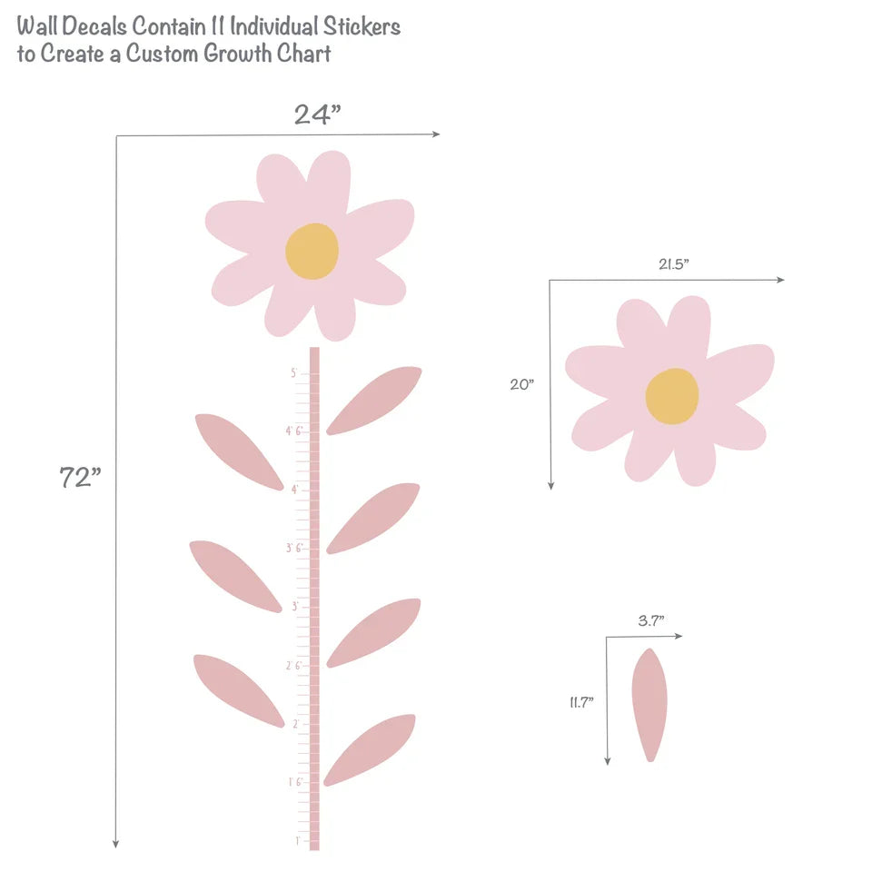 Daisy Flower Growth Chart Wall Decals R901