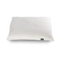 Organic Cotton Pillow Q377937