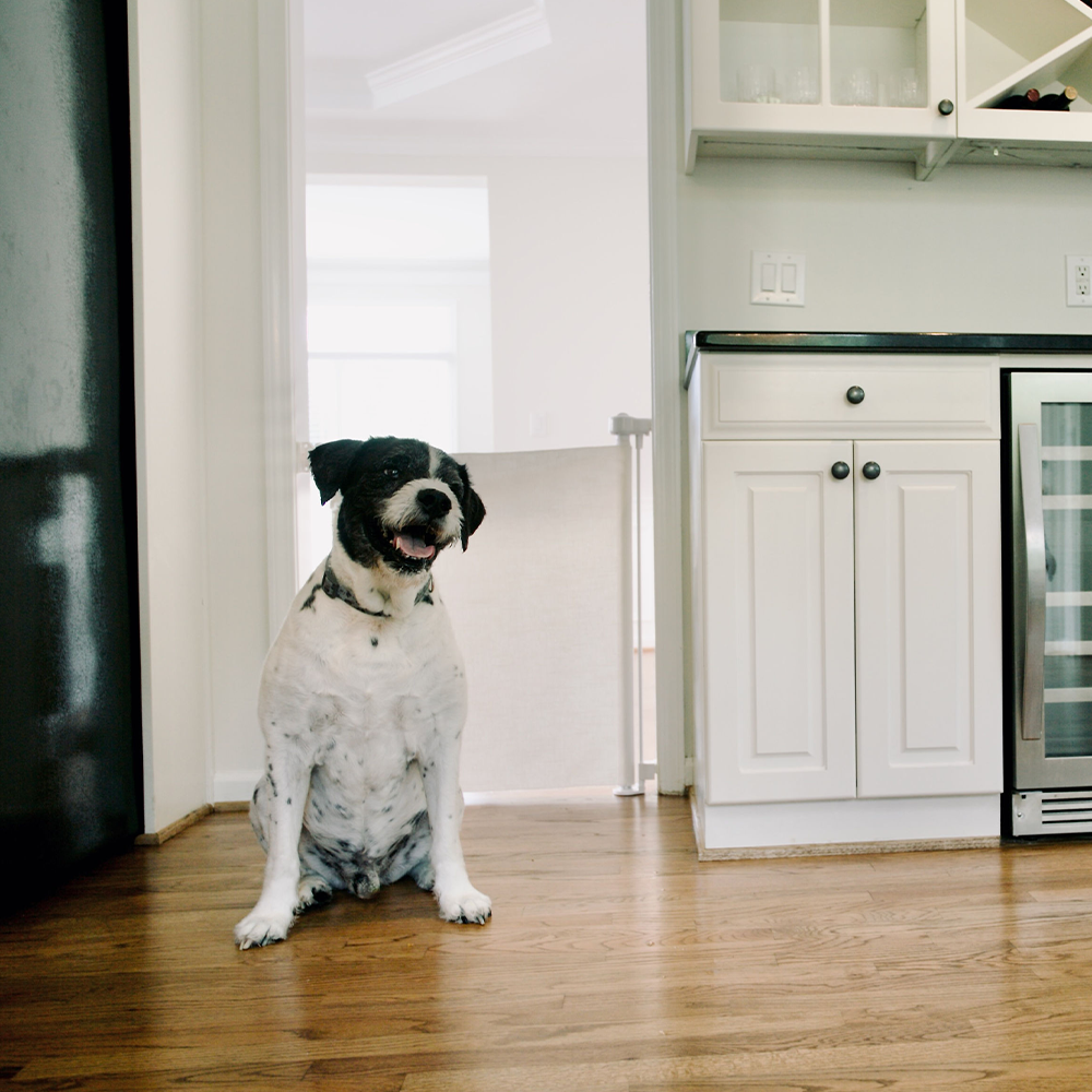 Baby & Pet Safety Gate with Crypton Fabric L135
