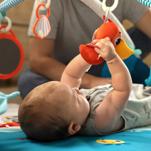 Developmental Baby Gym Play Mat B11722