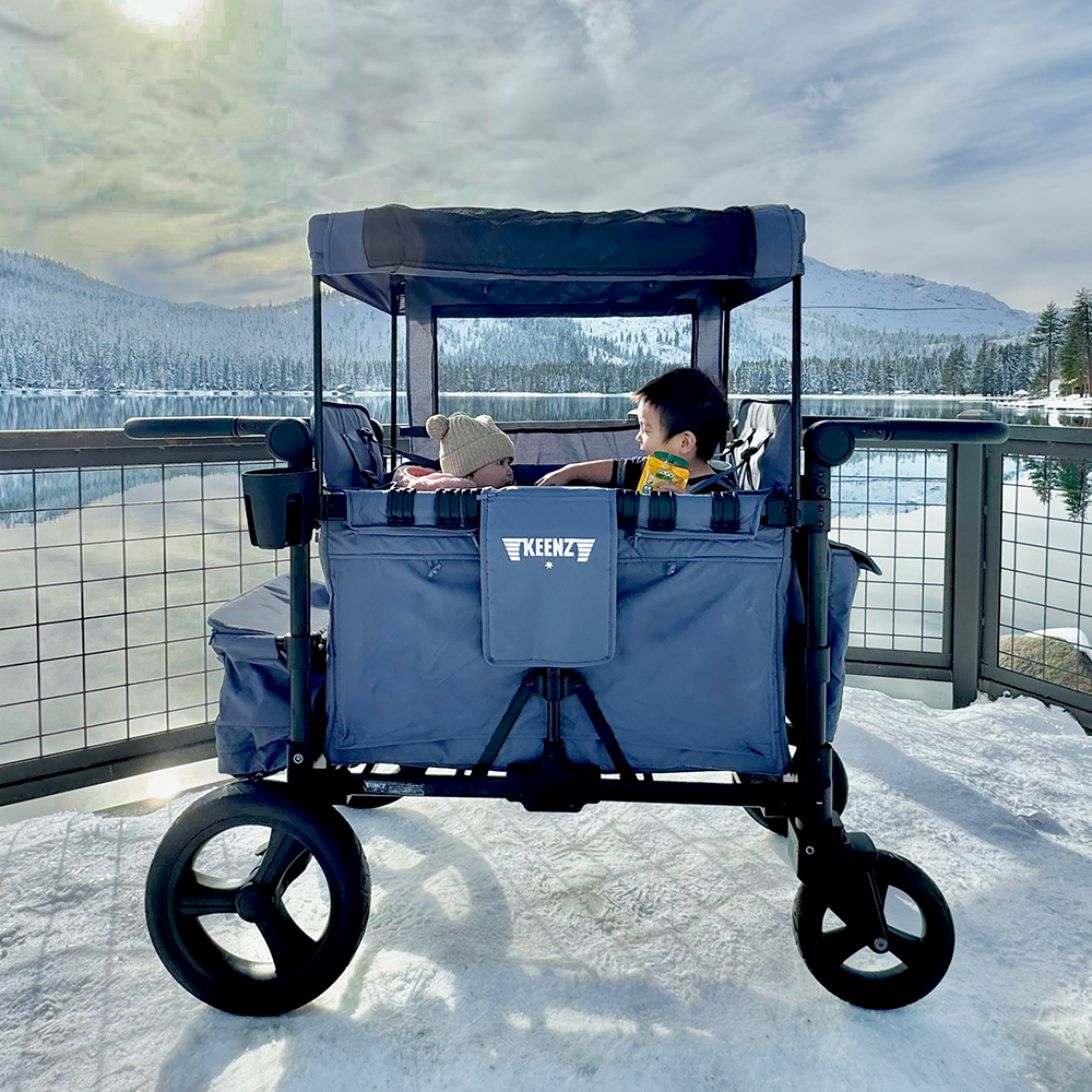 2-Passenger All-Terrain Stroller Wagon W51631