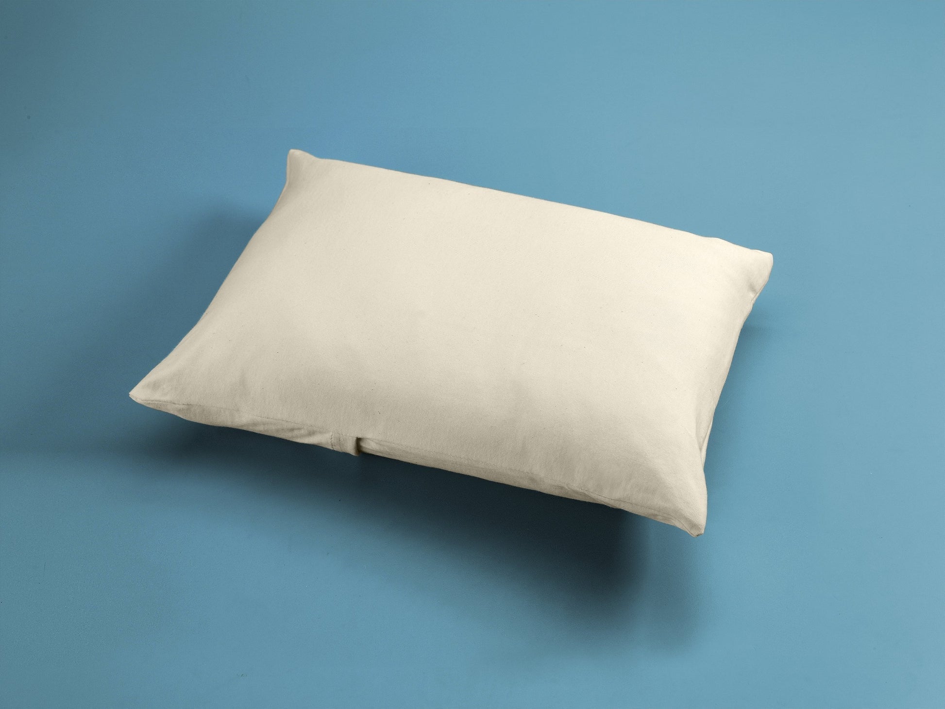 Organic Toddler Pillow with Cover J88130