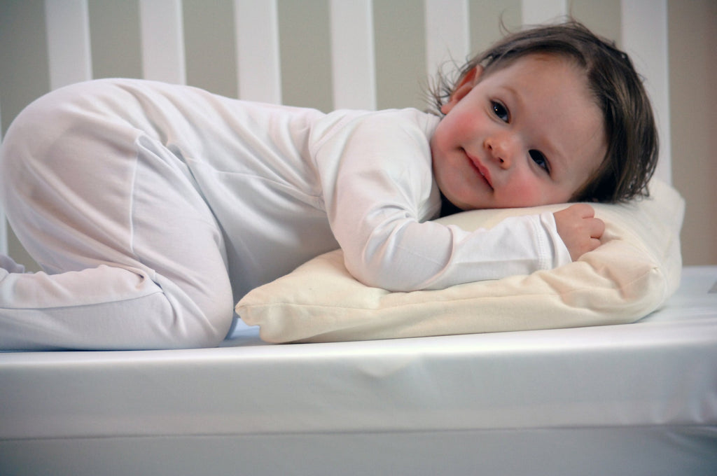 Organic Toddler Pillow with Cover J88130