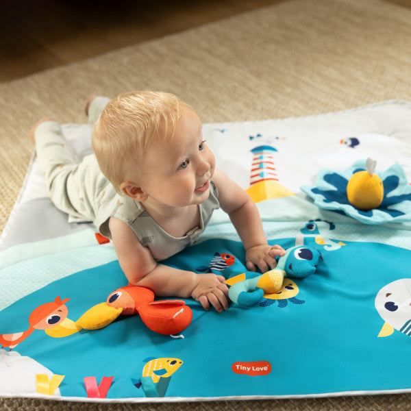 Developmental Baby Gym Play Mat B11722