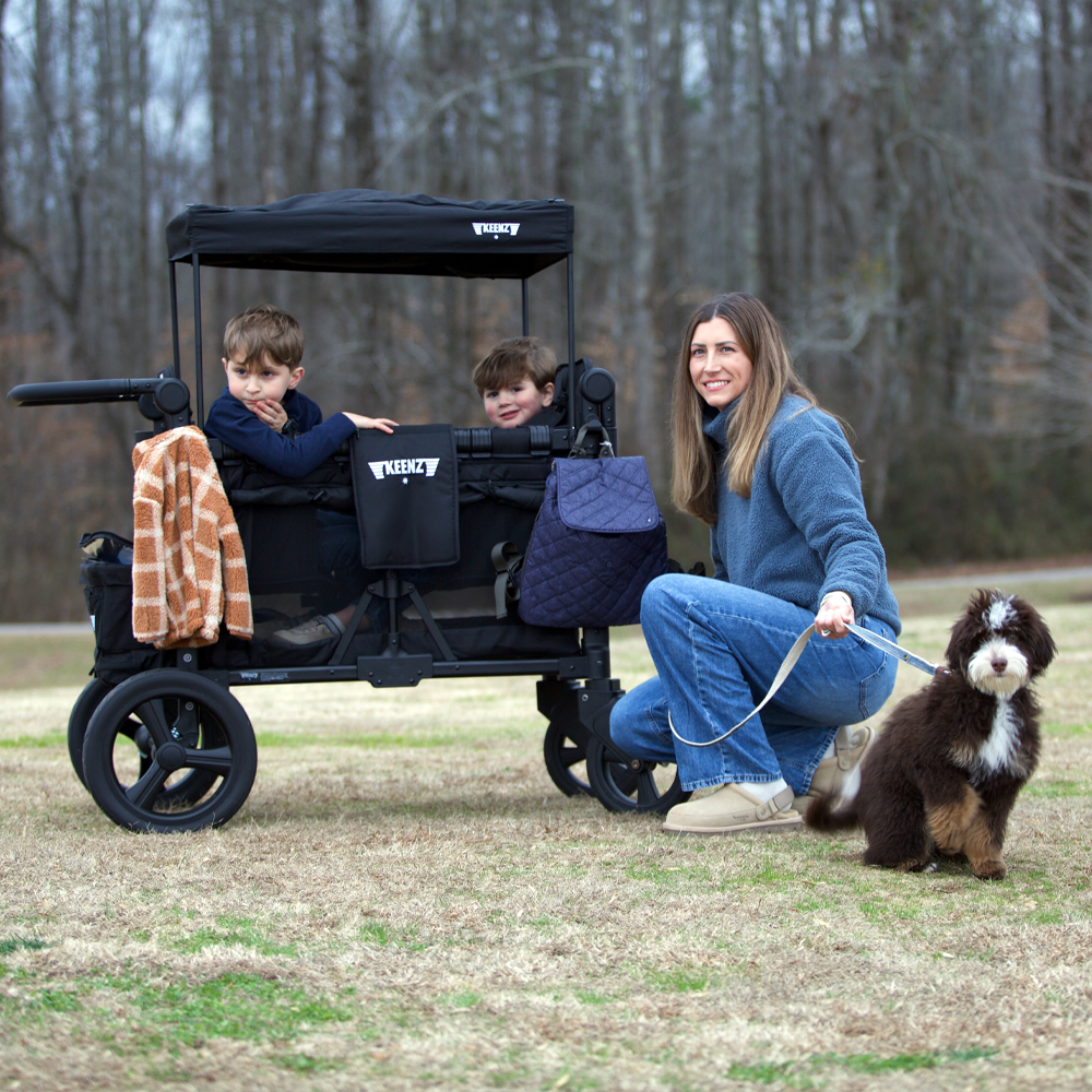 4-Passenger Stroller Wagon with Full-Featured Comfort E466