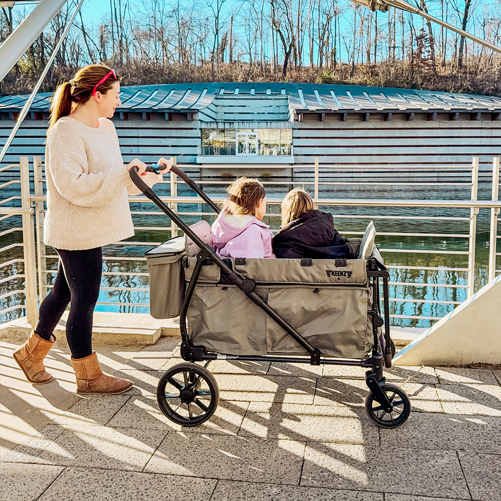 2-Passenger Stroller Wagon for City Life V5731