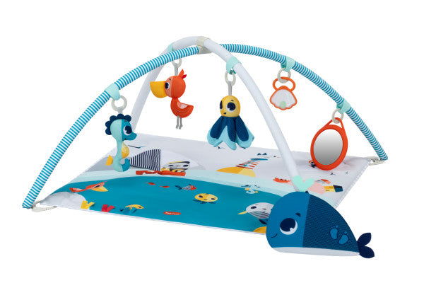 Developmental Baby Gym Play Mat B11722